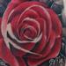Tattoos - realistic red rose tattoo - 65140